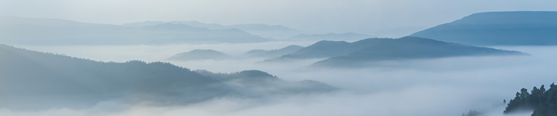Values background